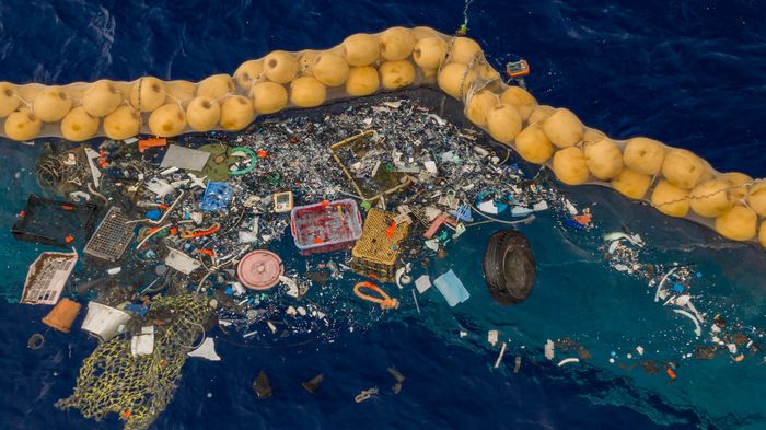 Global Initiatives for Ocean Cleanup